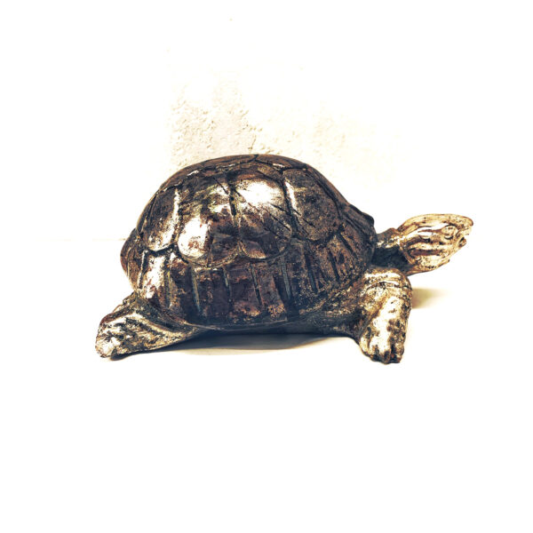 tartaruga-legno-castorina-artempo-lato-3