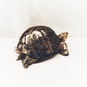 tartaruga legno castorina artempo lato 5 e1622110585202
