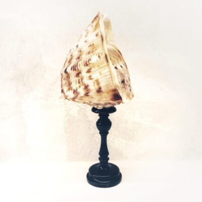 decorazione_conchiglia_fatto_a_mano_artigianato