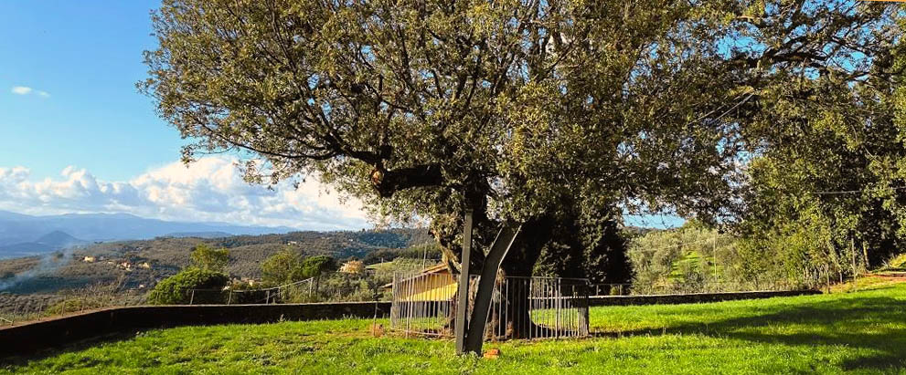 Autunno in Toscana tra arte e vino