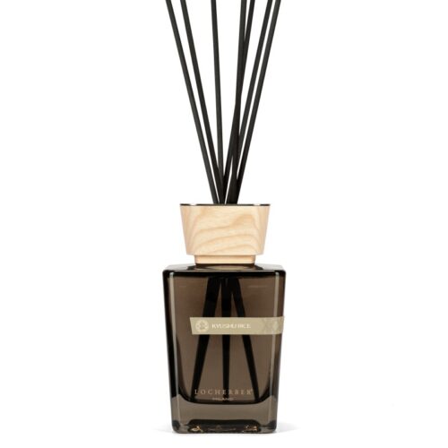 kyushu-rice-diffusore-
