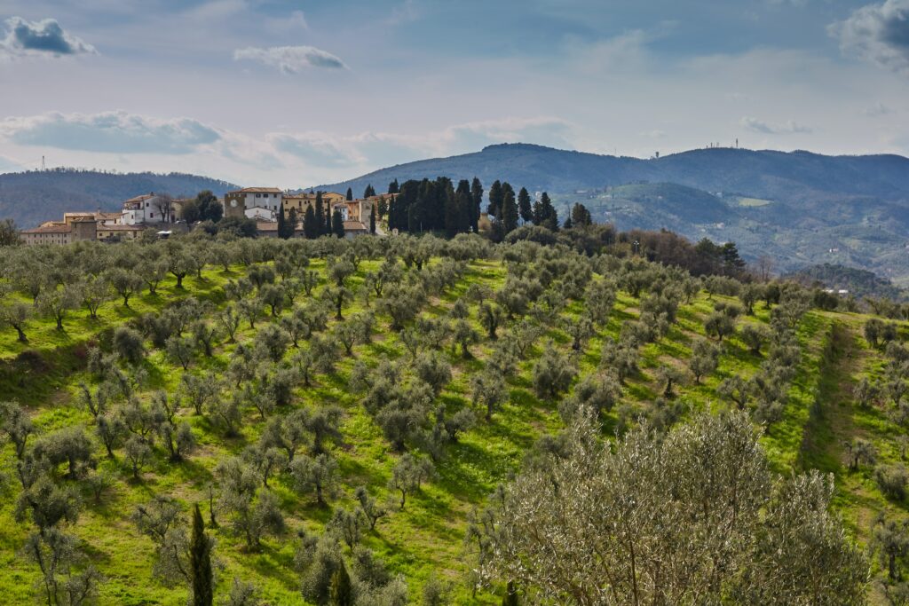 artigianato toscano nuove esperienze green da Artempo empoli